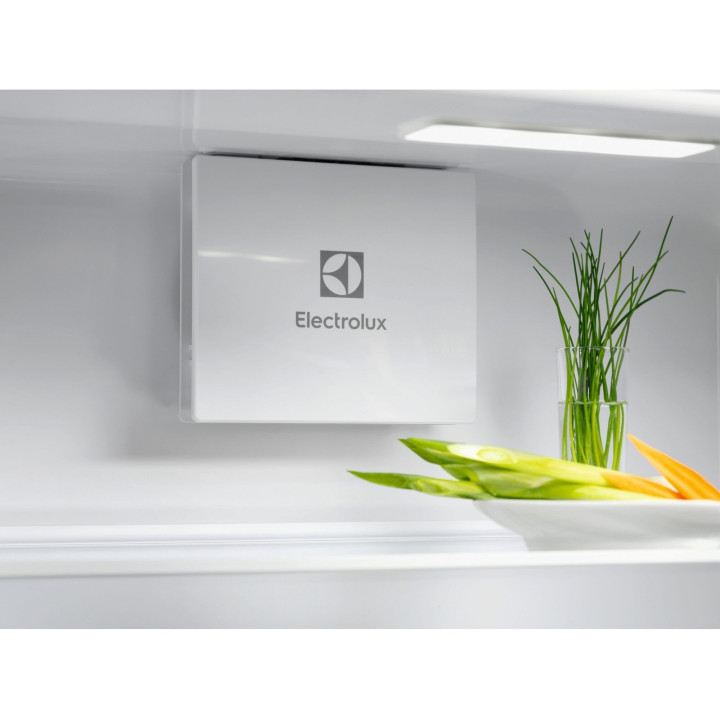 Réfrigérateur 1 porte ELECTROLUX Série 600 ERD6DE18S4 ERD6DE18S4 - 177.2 cm | Ménachoc